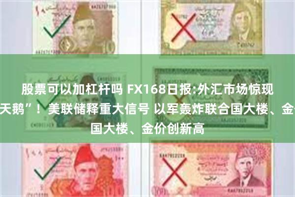 股票可以加杠杆吗 FX168日报:外汇市场惊现巨大“黑天鹅”！美联储释重大信号 以军轰炸联合国大楼、金价创新高