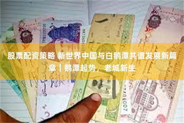 股票配资策略 新世界中国与白鹅潭共谱发展新篇章｜鹅潭起势，老城新生