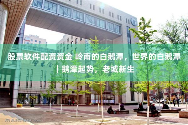 股票软件配资资金 岭南的白鹅潭，世界的白鹅潭｜鹅潭起势，老城新生
