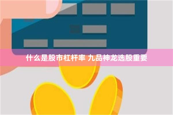什么是股市杠杆率 九品神龙选股重要