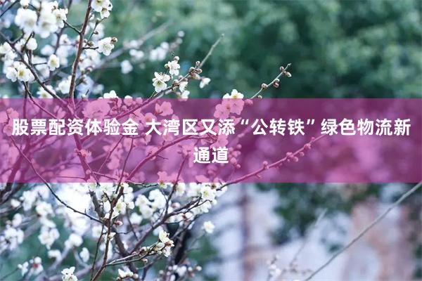 股票配资体验金 大湾区又添“公转铁”绿色物流新通道