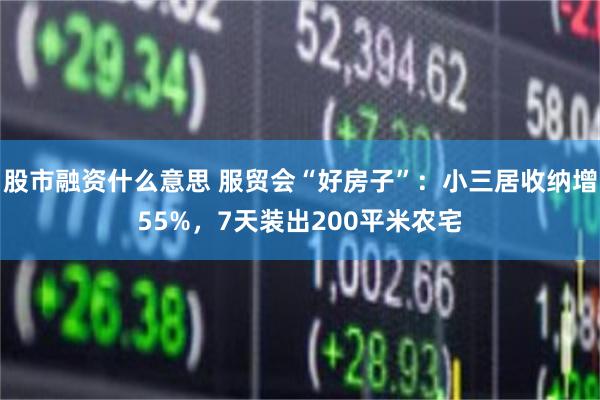 股市融资什么意思 服贸会“好房子”：小三居收纳增55%，7天装出200平米农宅
