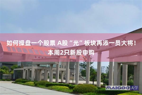 如何操盘一个股票 A股“光”板块再添一员大将！本周2只新股申购