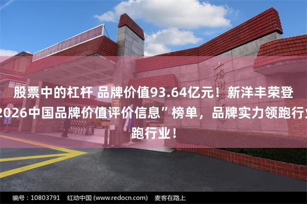 股票中的杠杆 品牌价值93.64亿元！新洋丰荣登“2026中国品牌价值评价信息”榜单，品牌实力领跑行业！